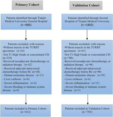 Development and Validation of a Nomogram to Predict Lymph Node Metastasis in Patients With T1 High-Grade Urothelial Carcinoma of the Bladder